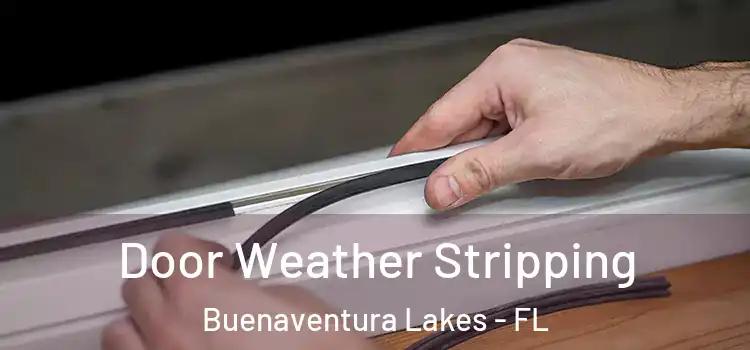 Door Weather Stripping Buenaventura Lakes - FL