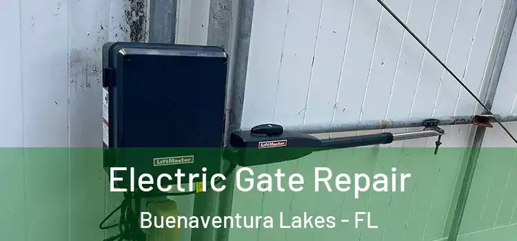  Electric Gate Repair Buenaventura Lakes - FL