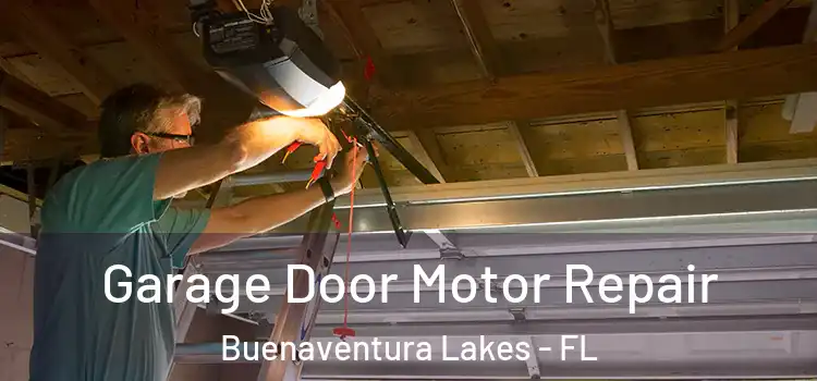  Garage Door Motor Repair Buenaventura Lakes - FL