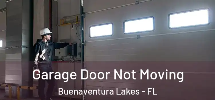  Garage Door Not Moving Buenaventura Lakes - FL