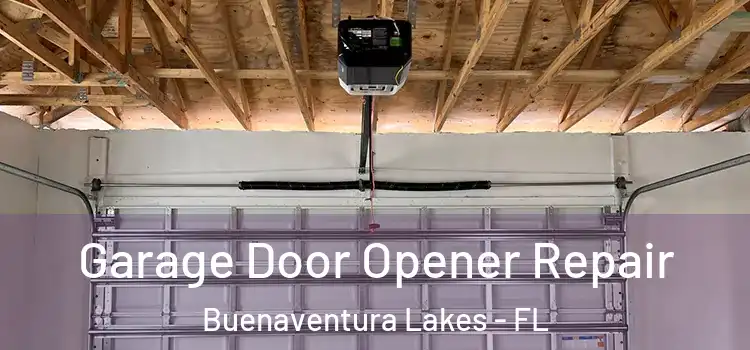  Garage Door Opener Repair Buenaventura Lakes - FL