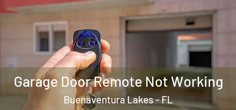  Garage Door Remote Not Working Buenaventura Lakes - FL