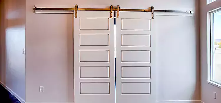 Glass Barn Door with Installation Hardware Kit Buenaventura Lakes