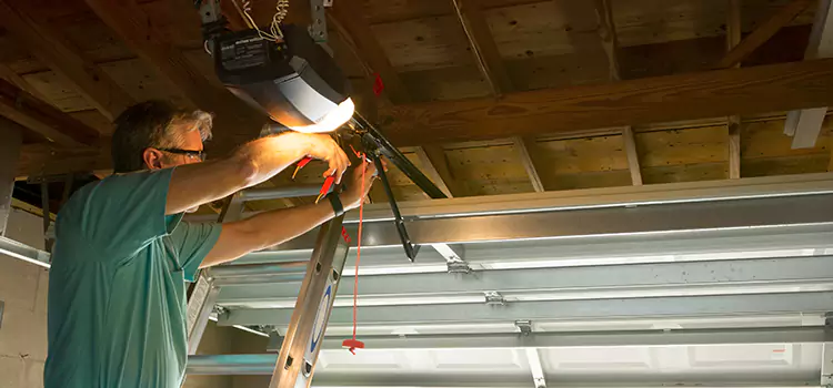 Garage Door Opener Sales and Installation Buenaventura Lakes