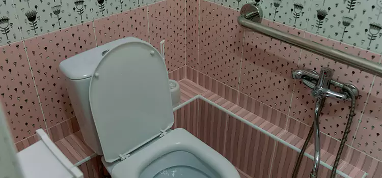 Meeting Diverse Needs With Accessible Restroom Solutions in Buenaventura Lakes, FL