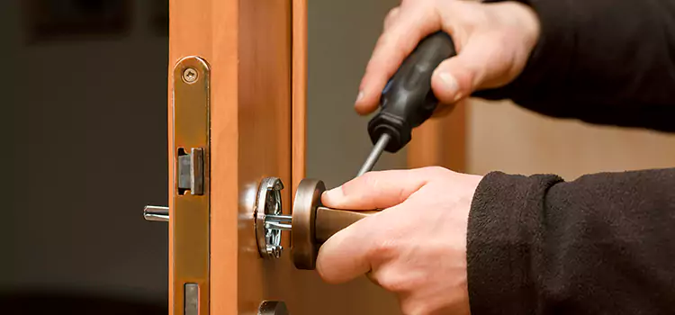 Rekey Car Locks Buenaventura Lakes