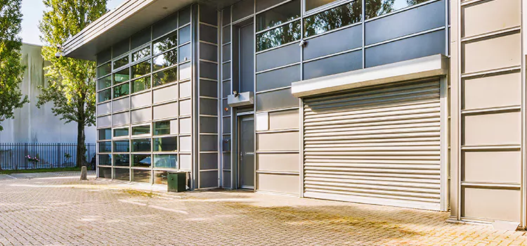 Electric Roller Garage Doors Buenaventura Lakes