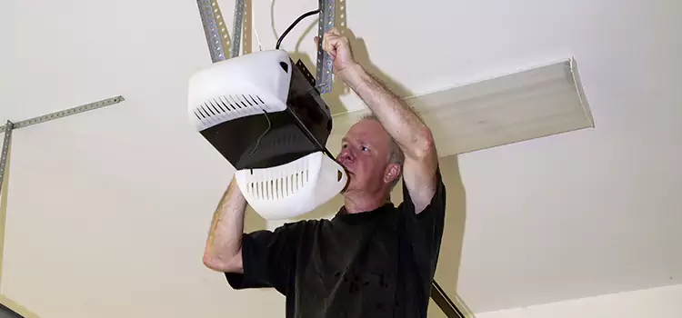 Garage Door Opener Service Buenaventura Lakes