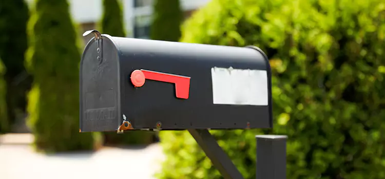 Secure Mailboxes for Packages Buenaventura Lakes